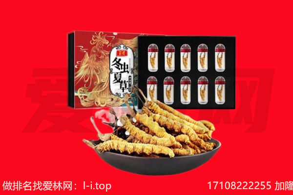 德令哈市虫草回收