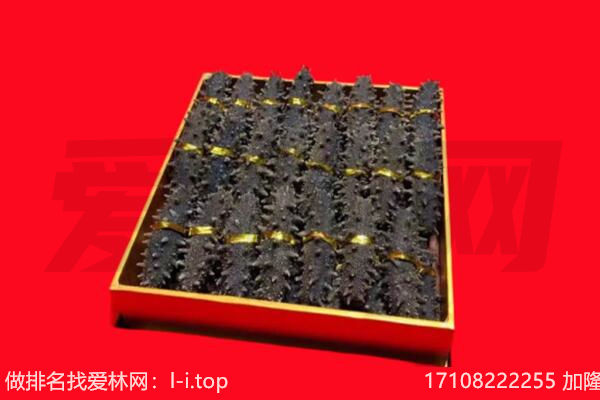 德令哈市海参回收